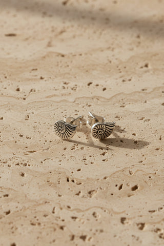 Seashell Studs - Silver