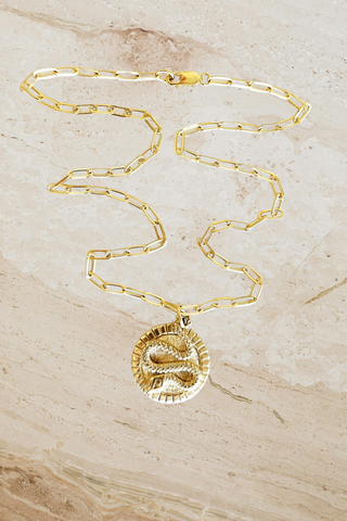 Snake Coin Pendant on a Paper Link Chain  - Gold