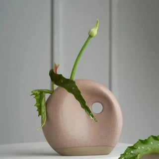 Eternity Vase - Marle Bush