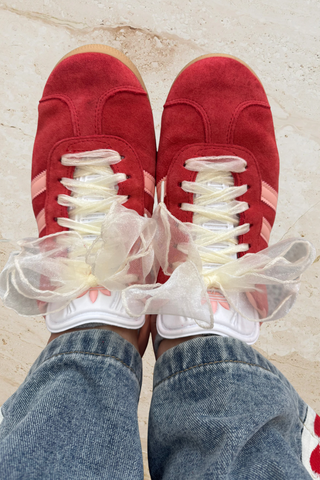 Organza Ribbon Laces