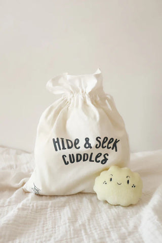 Hide & Seek Cuddles Game
