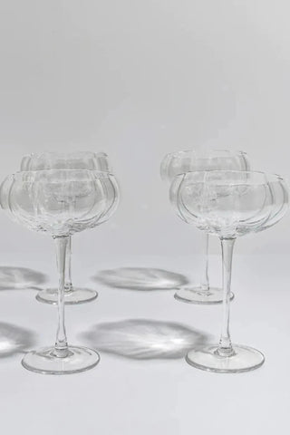 Petal Cocktail Glasses