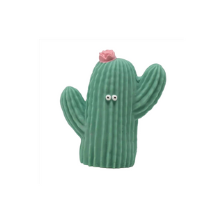 Cactus Teether