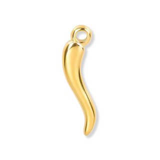 Latch & Lock Charms