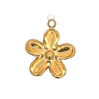 Latch & Lock Charms