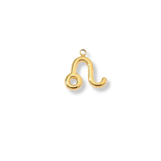 Latch & Lock Charms