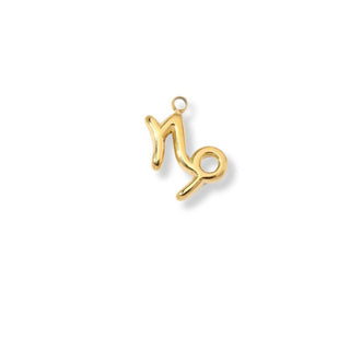 Latch & Lock Charms