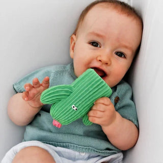 Cactus Teether