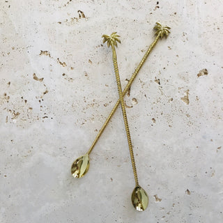 Brass Spoon- Long Handle- Palm